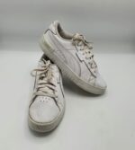 Puma 37