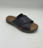 Saboti Salamander 42