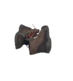 Ghete copii Daumling 21, piele intoarsa, material textil, maro - imagine 4