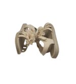 Sandale copii Nelli Blu, 30, imitatie de piele, bej - imagine 4